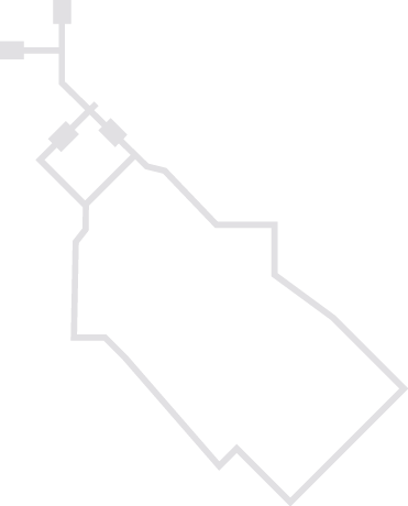 Polygon