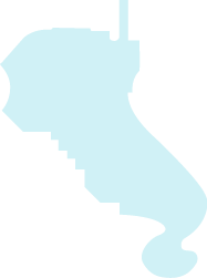 Polygon